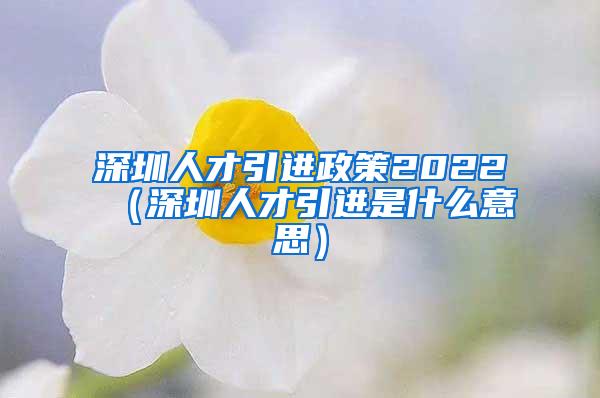 深圳人才引进政策2022（深圳人才引进是什么意思）