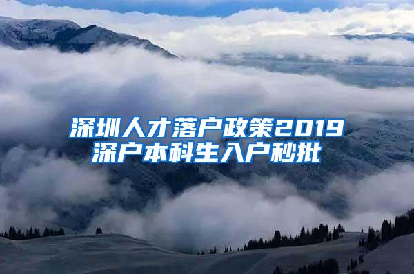 深圳人才落户政策2019深户本科生入户秒批