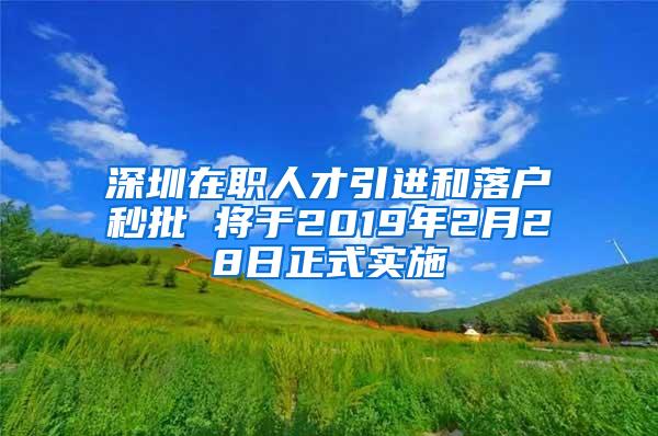 深圳在职人才引进和落户秒批 将于2019年2月28日正式实施