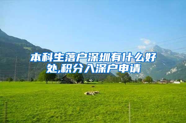 本科生落户深圳有什么好处,积分入深户申请