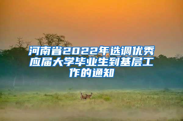 河南省2022年选调优秀应届大学毕业生到基层工作的通知