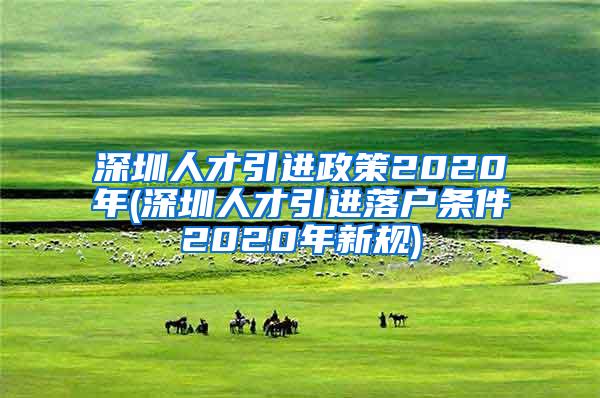 深圳人才引进政策2020年(深圳人才引进落户条件2020年新规)