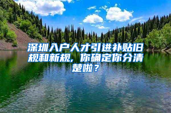 深圳入户人才引进补贴旧规和新规, 你确定你分清楚啦？