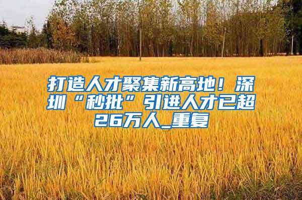 打造人才聚集新高地！深圳“秒批”引进人才已超26万人_重复