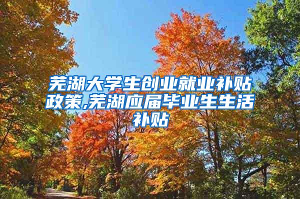 芜湖大学生创业就业补贴政策,芜湖应届毕业生生活补贴