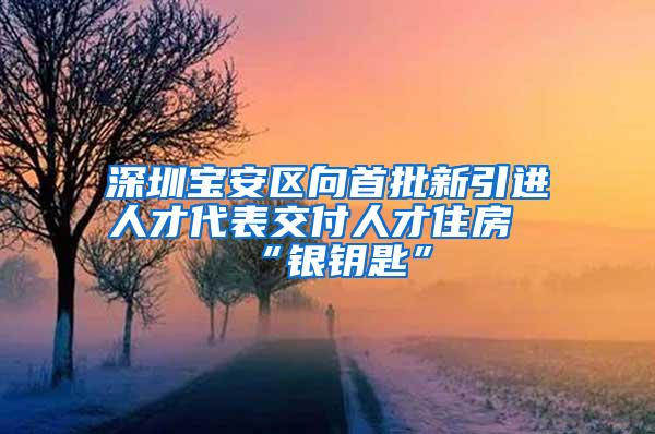 深圳宝安区向首批新引进人才代表交付人才住房“银钥匙”