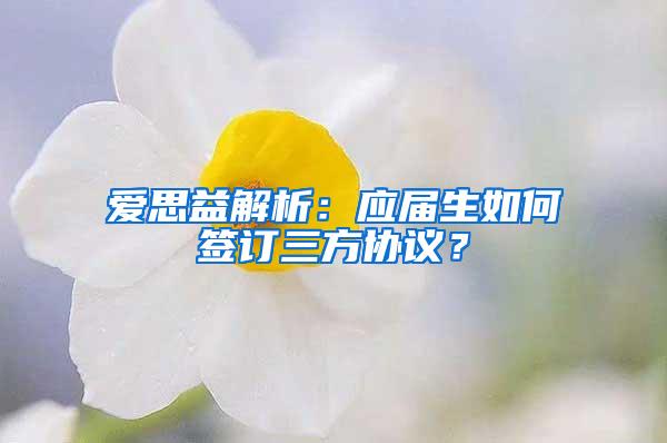 爱思益解析：应届生如何签订三方协议？