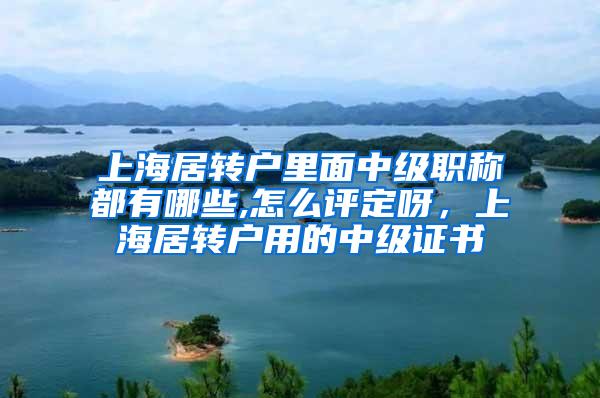 上海居转户里面中级职称都有哪些,怎么评定呀，上海居转户用的中级证书