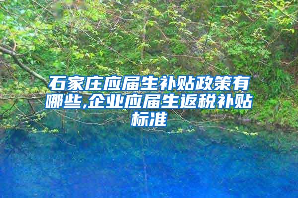 石家庄应届生补贴政策有哪些,企业应届生返税补贴标准