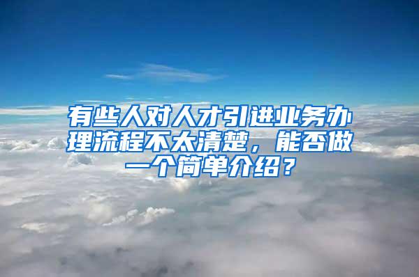 有些人对人才引进业务办理流程不太清楚，能否做一个简单介绍？