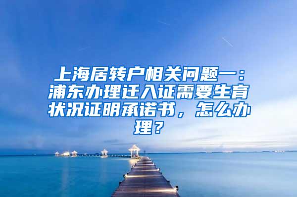 上海居转户相关问题一：浦东办理迁入证需要生育状况证明承诺书，怎么办理？