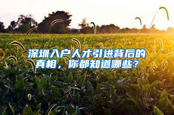 深圳入户人才引进背后的真相，你都知道哪些？