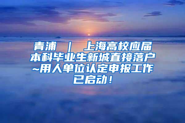 青浦 ｜ 上海高校应届本科毕业生新城直接落户~用人单位认定申报工作已启动！