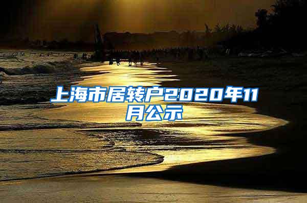 上海市居转户2020年11月公示