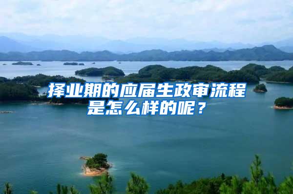 择业期的应届生政审流程是怎么样的呢？