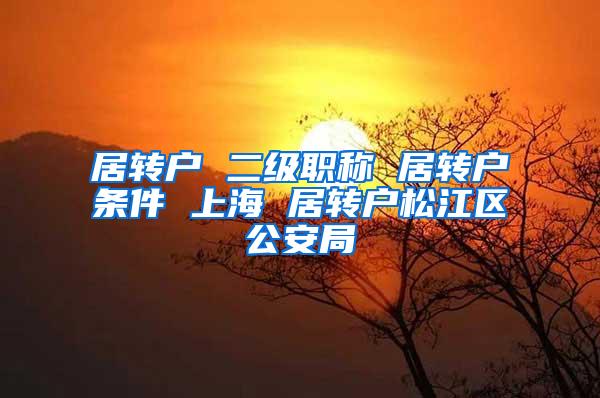居转户 二级职称 居转户条件 上海 居转户松江区公安局