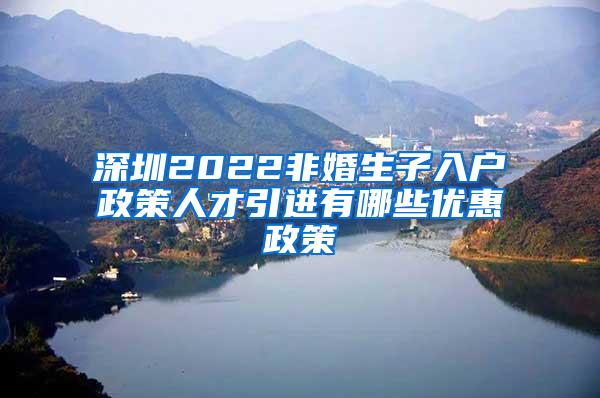 深圳2022非婚生子入户政策人才引进有哪些优惠政策