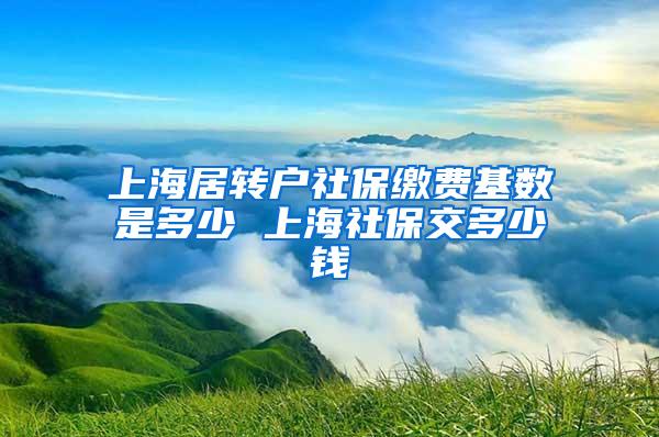 上海居转户社保缴费基数是多少 上海社保交多少钱