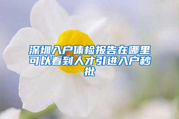 深圳入户体检报告在哪里可以看到人才引进入户秒批