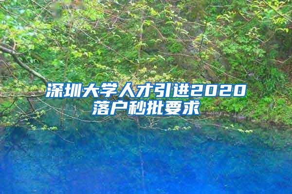 深圳大学人才引进2020落户秒批要求