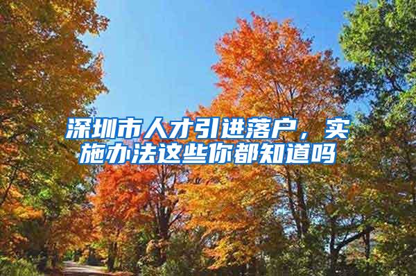 深圳市人才引进落户，实施办法这些你都知道吗