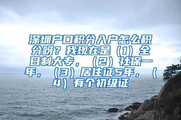 深圳户口积分入户怎么积分呀？我现在是（1）全日制大专，（2）社保一年，（3）居住证5年，（4）有个初级证