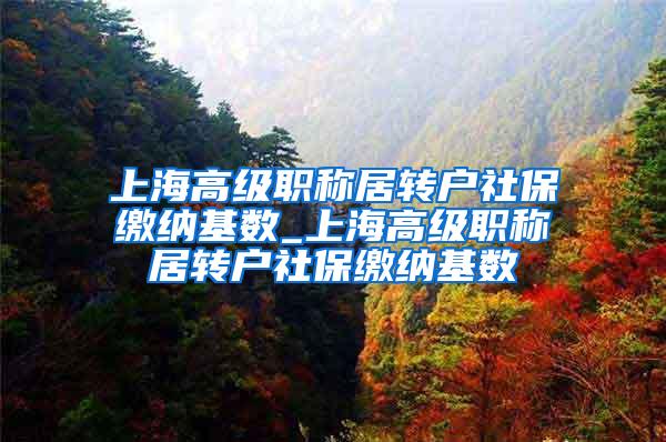 上海高级职称居转户社保缴纳基数_上海高级职称居转户社保缴纳基数