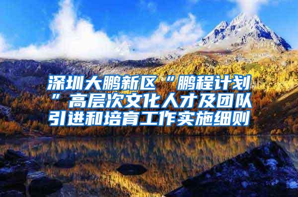 深圳大鹏新区“鹏程计划”高层次文化人才及团队引进和培育工作实施细则