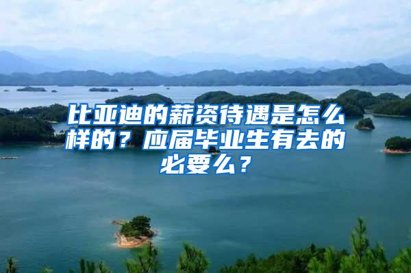 比亚迪的薪资待遇是怎么样的？应届毕业生有去的必要么？