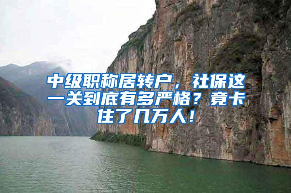 中级职称居转户，社保这一关到底有多严格？竟卡住了几万人！