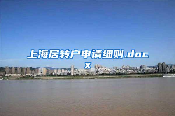 上海居转户申请细则.docx