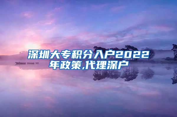 深圳大专积分入户2022年政策,代理深户