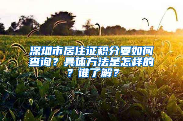 深圳市居住证积分要如何查询？具体方法是怎样的？谁了解？