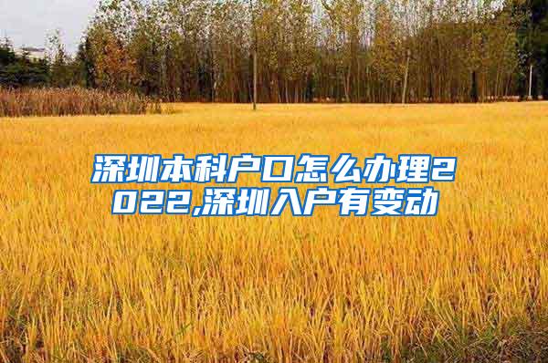 深圳本科户口怎么办理2022,深圳入户有变动