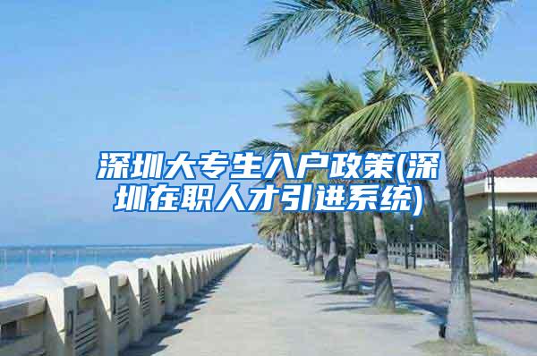 深圳大专生入户政策(深圳在职人才引进系统)