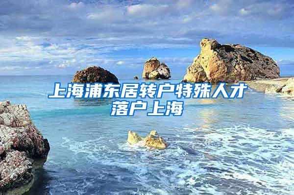 上海浦东居转户特殊人才落户上海