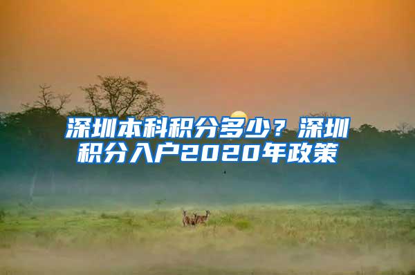 深圳本科积分多少？深圳积分入户2020年政策