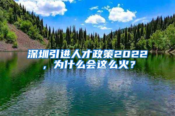 深圳引进人才政策2022，为什么会这么火？