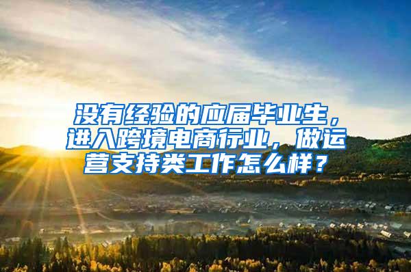 没有经验的应届毕业生，进入跨境电商行业，做运营支持类工作怎么样？