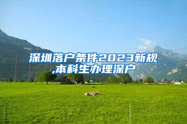 深圳落户条件2023新规,本科生办理深户