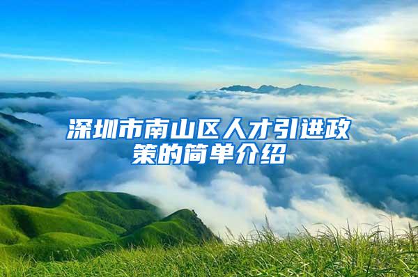 深圳市南山区人才引进政策的简单介绍