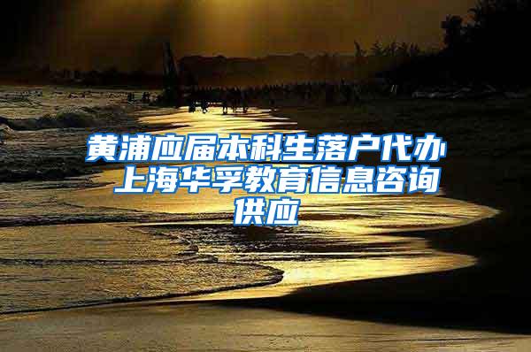 黄浦应届本科生落户代办 上海华孚教育信息咨询供应