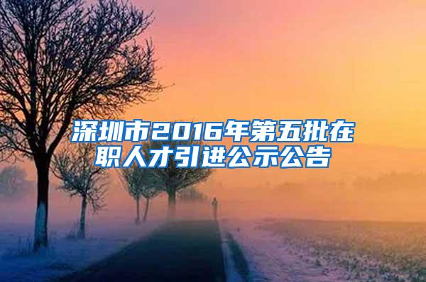 深圳市2016年第五批在职人才引进公示公告