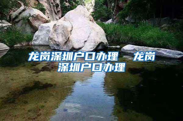 龙岗深圳户口办理  龙岗深圳户口办理