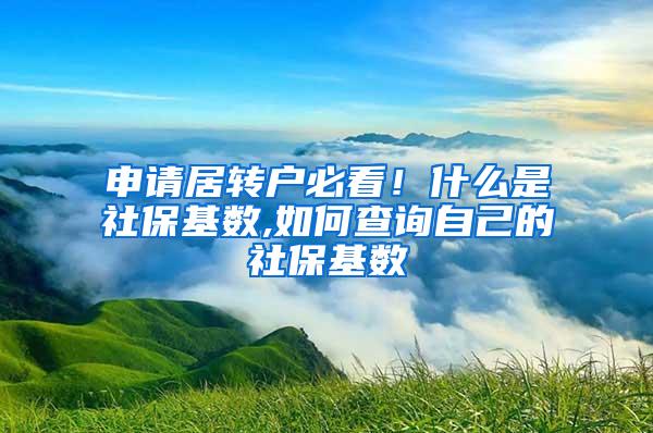 申请居转户必看！什么是社保基数,如何查询自己的社保基数