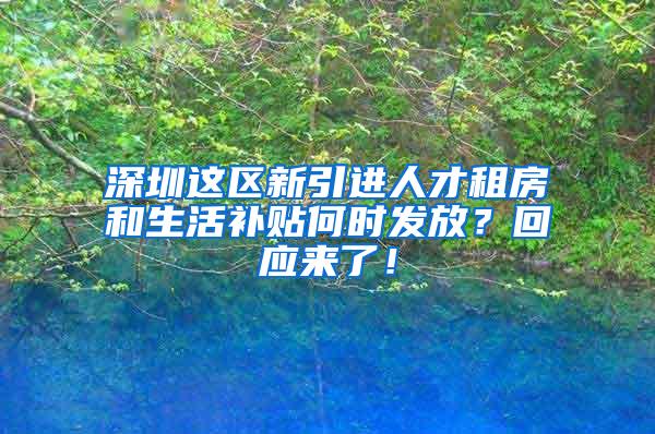 深圳这区新引进人才租房和生活补贴何时发放？回应来了！