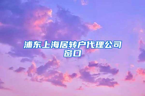 浦东上海居转户代理公司窗口