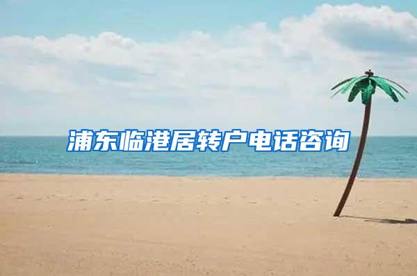 浦东临港居转户电话咨询