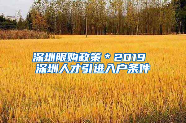 深圳限购政策＊2019 深圳人才引进入户条件