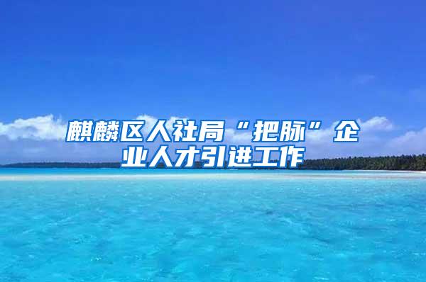 麒麟区人社局“把脉”企业人才引进工作